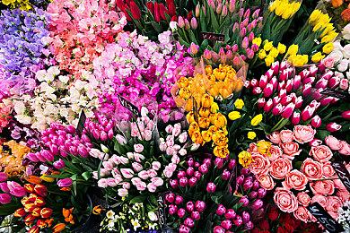 《仁王3》全新视频 展示主角潜行跳跃和疾风跑